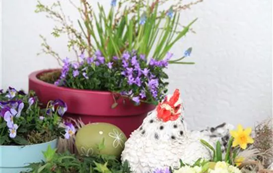 Mini Gardens: Small Garden Happiness