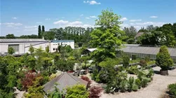 Baden-Baden_jpg.jpg