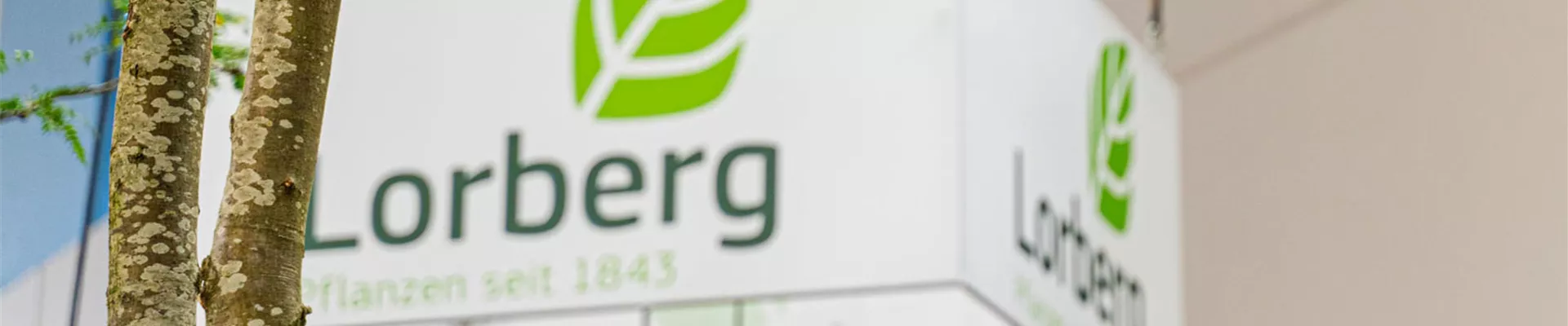 DSC00756.jpg DSC00756.jpg