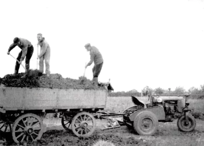 Lorberg Nursery: Innovation from Tradition