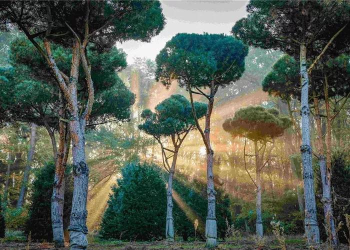 Well-formed Well-formed