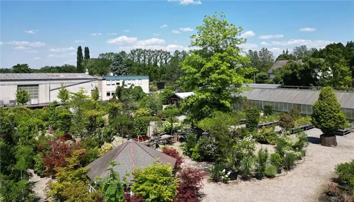 Großhandel & Privatverkauf in Baden-Baden