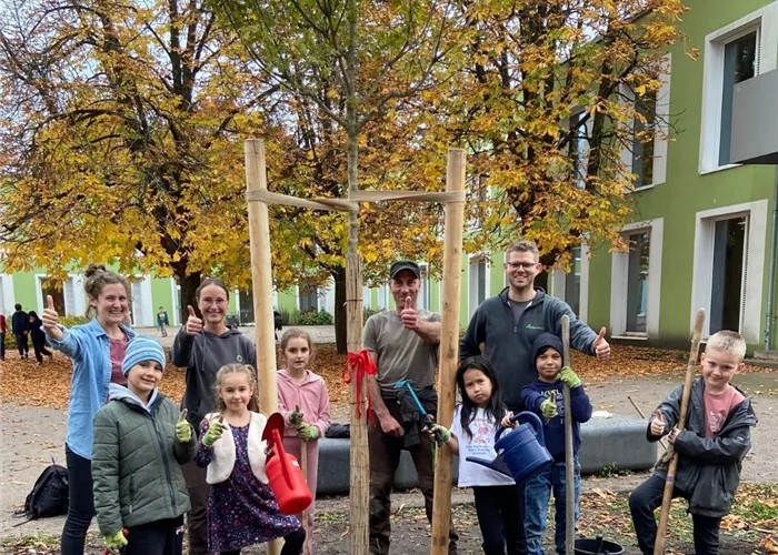 Klimabäume für Kinder – Feldahorne finden ein neues Zuhause!  Klimabäume für Kinder – Feldahorne finden ein neues Zuhause!
