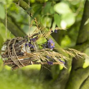 A Birdhouse Made from a Canning Jar – A Glass Feeding Stop for Birds A Birdhouse Made from a Canning Jar – A Glass Feeding Stop for Birds