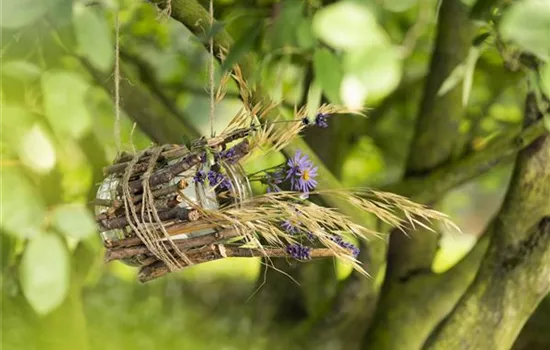 A Birdhouse Made from a Canning Jar – A Glass Feeding Stop for Birds A Birdhouse Made from a Canning Jar – A Glass Feeding Stop for Birds