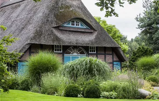 Knoblauch im Beet und Hühner im Gemüsegarten – altes Wissen neu erschlossen  Knoblauch im Beet und Hühner im Gemüsegarten – altes Wissen neu erschlossen