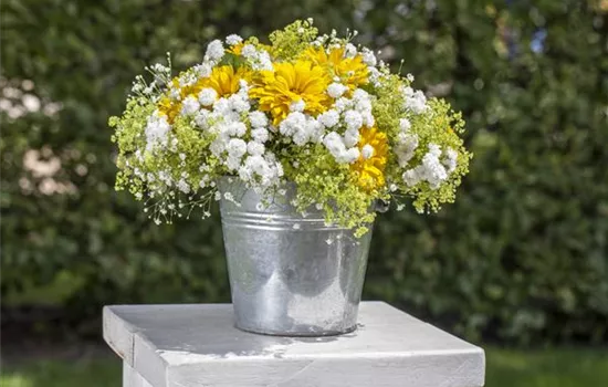 Cut Flowers from Your Own Garden – Bringing the Garden Indoors Cut Flowers from Your Own Garden – Bringing the Garden Indoors
