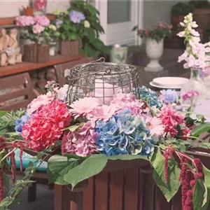 Blätter, Kräuter und Co. - die unterschätzten Bereicherungen Blätter, Kräuter und Co. - die unterschätzten Bereicherungen