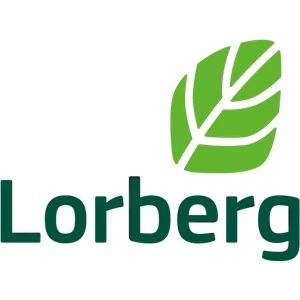 Juglans regia 'Lake' Juglans regia 'Lake'