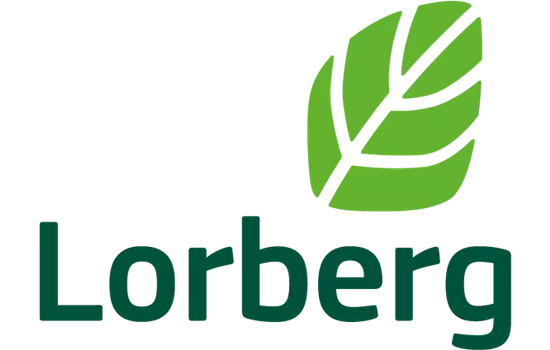 Persicaria affinis 'Darjeeling Red'