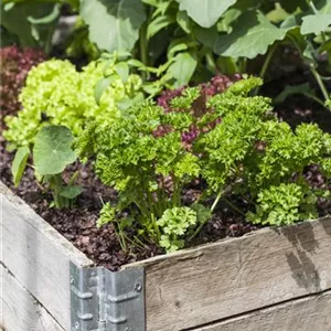 Das DIY-Hochbeet: nützlich, modern und super praktisch Das DIY-Hochbeet: nützlich, modern und super praktisch