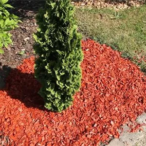 Mulch - use in the garden