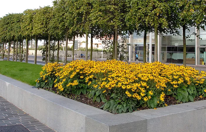 Broomielaw - Glasgow Broomielaw - Glasgow