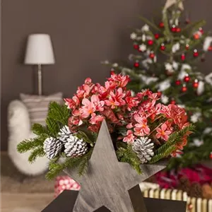 Advent - with beautiful ideas through the pre-Christmas season. Advent - with beautiful ideas through the pre-Christmas season.