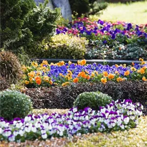 Das Grab im Lauf der Jahreszeiten Das Grab im Lauf der Jahreszeiten