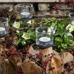 Adventskranz gestalten Adventskranz gestalten