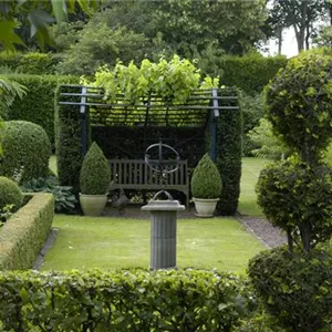 Auf die Form gekommen – Formgehölze im Garten Auf die Form gekommen – Formgehölze im Garten