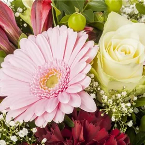 Die Blumen in der Vase richtig in Szene gesetzt