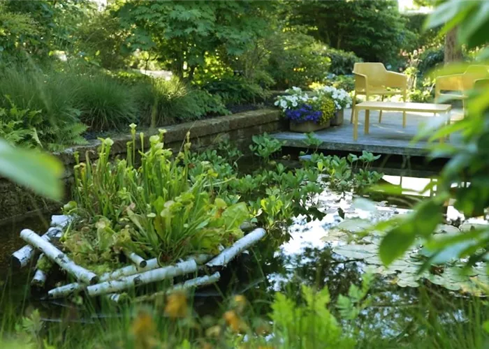 Garden design - forest garden Garden design - forest garden