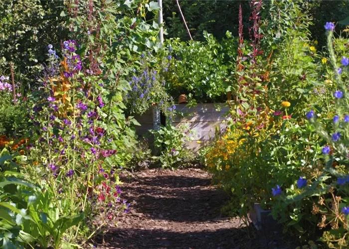 Garden design - cottage garden Garden design - cottage garden
