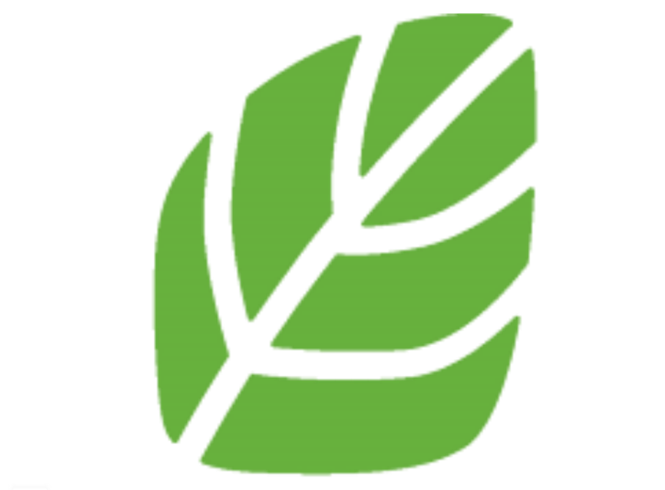 Solveig Kirschke Solveig Kirschke