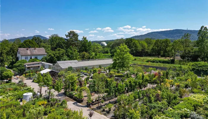 Baden-Baden Großhandel & Privatverkauf Baden-Baden Großhandel & Privatverkauf