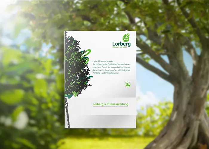 Lorberg Handbuch - Professionelle Baumpflege (PDF) Lorberg Handbuch - Professionelle Baumpflege (PDF)