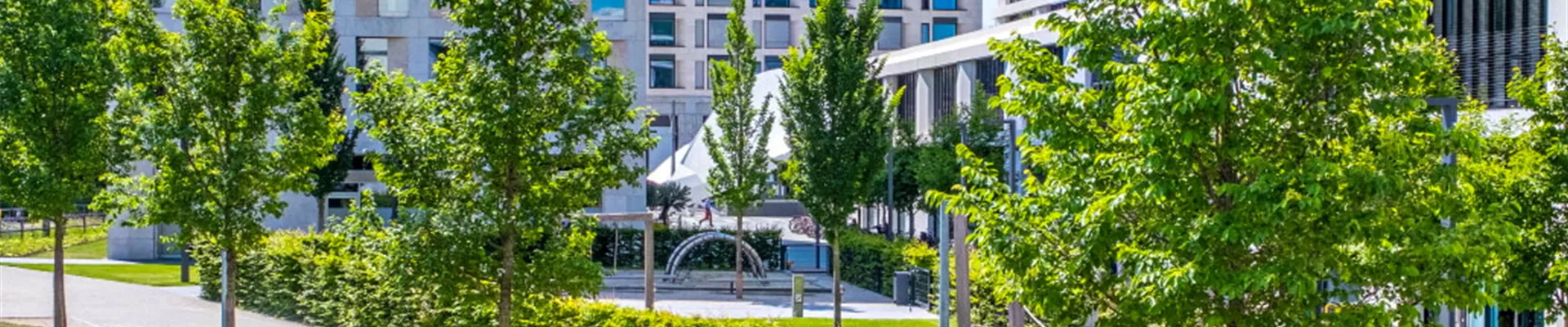 03-21_Stadtbaeume_der_Zukunft_Text_3_Schwabinger_Tor_Muenchen_Ulmus__New_horizon_.jpg 03-21_Stadtbaeume_der_Zukunft_Text_3_Schwabinger_Tor_Muenchen_Ulmus__New_horizon_.jpg