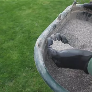 Lawn - cutting and care
