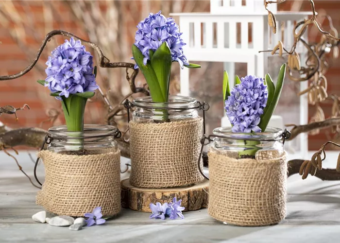 Spring at Your Doorstep – Time for Decoration