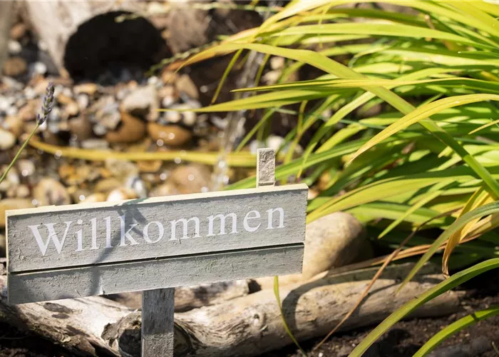 Always on the Right Path: Signs and Waymarkers in the Garden