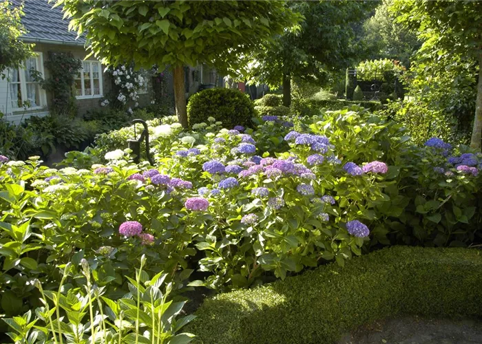 Trees and Shrubs in Spring – It Doesn’t Always Have to Be Flowers