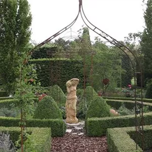 Garden design - Romantic garden