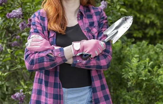 It’s time: spring cleaning in the garden It’s time: spring cleaning in the garden