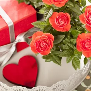 A flower says more than a thousand words – the language of flowers A flower says more than a thousand words – the language of flowers