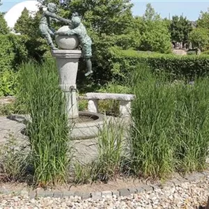Garden design - water and sculpture garden