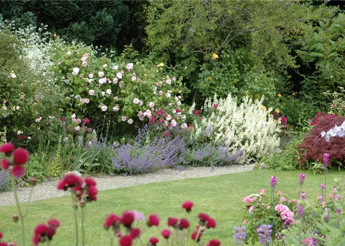 Every Beginning is (Not) Hard – The First Own Garden