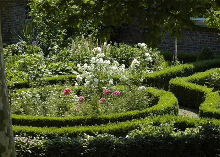 Cottage Garden: English Flair in Your Own Garden