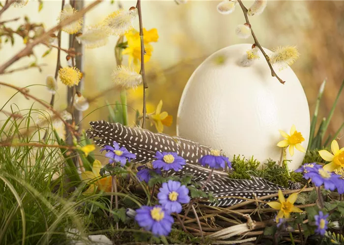 The Garden Paradise for the Easter Bunny and Co.