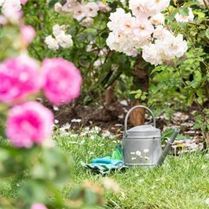 Bewässerungsanlagen im Garten – entspannt sitzen statt schwitzen Bewässerungsanlagen im Garten – entspannt sitzen statt schwitzen