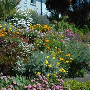 Adding Variety to Your Garden with a Hügelbeet Adding Variety to Your Garden with a Hügelbeet