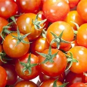Томат — аромат, красота и вкус в одном флаконе